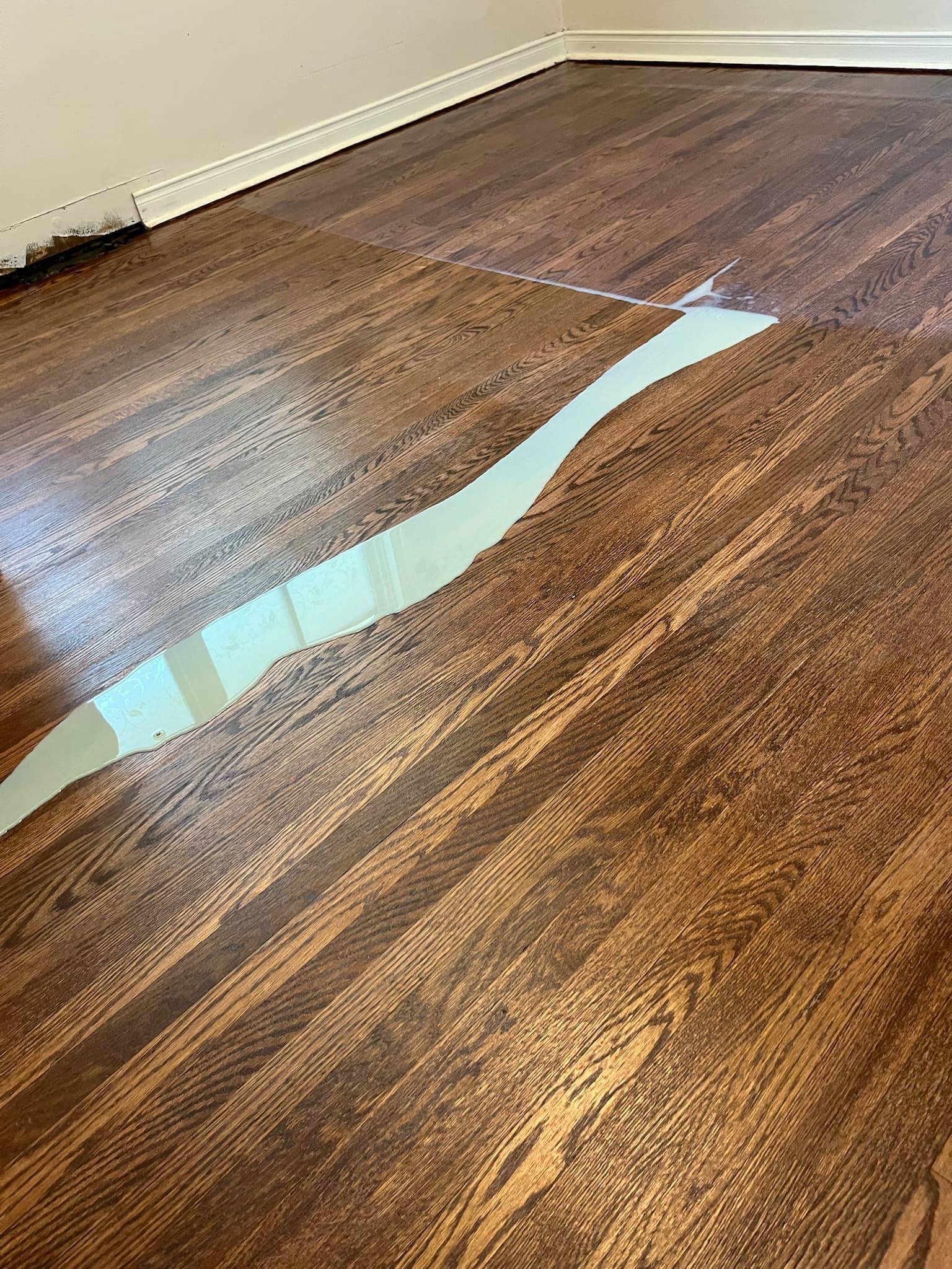 Applying varnish to a hardwood floor